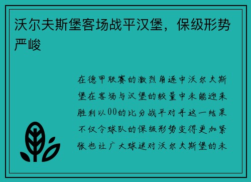 沃尔夫斯堡客场战平汉堡，保级形势严峻